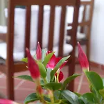 Il Giardino Delle Sete