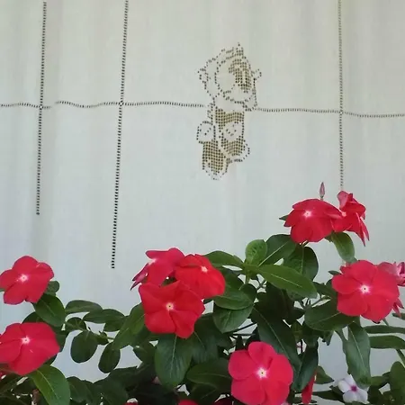 Il Giardino Delle Sete Nocleg ze śniadaniem Mesagne