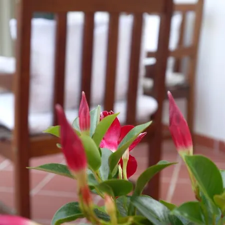 Il Giardino Delle Sete